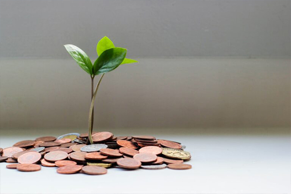 Corporate Finance Law